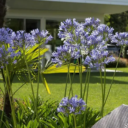 San Marco 4* Bibione